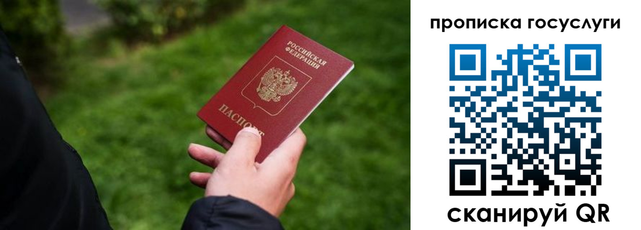 прописка для работы в Волгограде